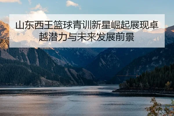 山东西王篮球青训新星崛起展现卓越潜力与未来发展前景